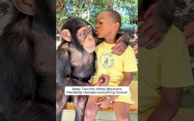All animals deserve to be loved
