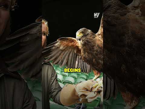 Nobody Gets Into Wimbledon Without His Approval 🦅