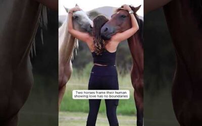 The way animals show they love you
