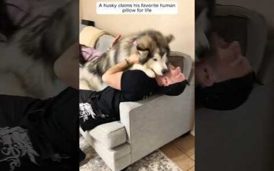 When animals see you as family