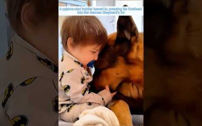 Babies and dogs growing up as best friends