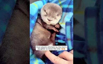 The man caught the same fish as a little otter
