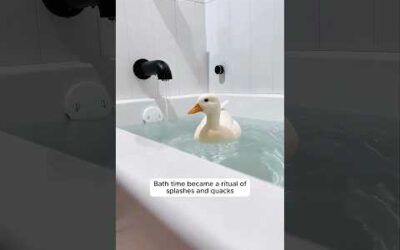 The girl rescued a duck’s egg