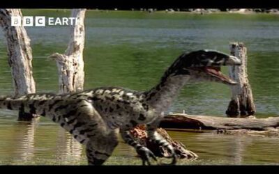 How Volcanic Pollution Ended a Tyrannosaurus Bloodline | Walking with Dinosaurs (1999) | BBC Earth