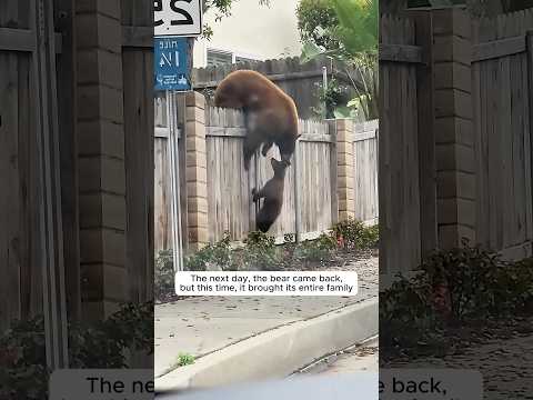 This family welcomed many wild animals every day