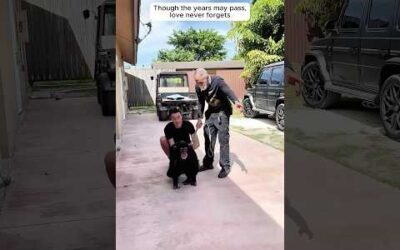 Chimpanzee meets owner again after a year❤️