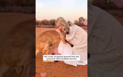ANIMALS REUNITED WITH OWNERS AFTER YEARS!