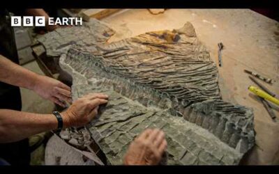 Sir David Attenborough Investigates A Jurassic Murder Mystery | BBC Earth