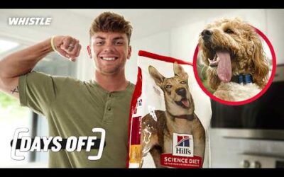 Cooper DeJean Is Football’s #1 Dog Dad?! 🐾🏈