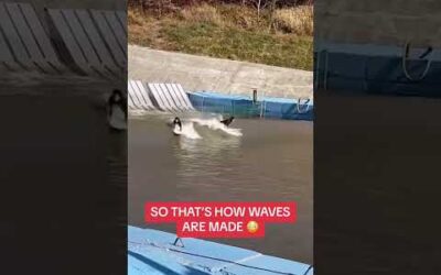 So This Is How They Make Waves 🤯