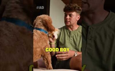 A Day In the Life of Cooper Dejean and Maverick with Hill’s Pet Nutrition!