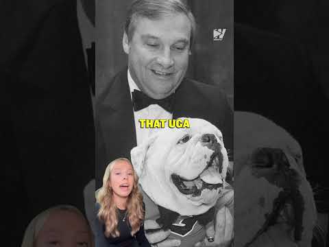 How the Bulldog Became Georgia’s Iconic Mascot 🐶