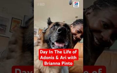 Day In The Life of Adonis & Ari with Brianna Pinto and Hill’s Pet Nutrition