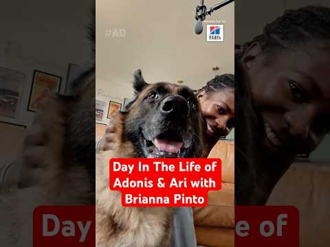 Day In The Life of Adonis & Ari with Brianna Pinto and Hill’s Pet Nutrition