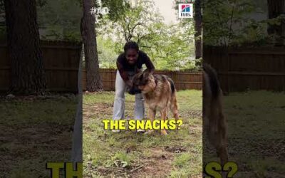 “Love It or Leave It” with Adonis, Ari & Brianna Pinto presented by Hill’s Pet Nutrition