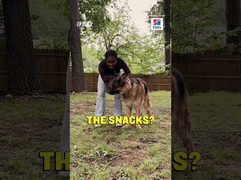 “Love It or Leave It” with Adonis, Ari & Brianna Pinto presented by Hill’s Pet Nutrition