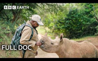 Guardians: Saving Earth’s Most Endangered Animals – FULL DOC | BBC Earth