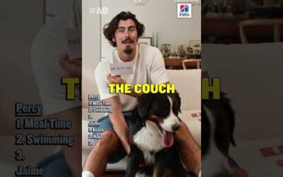 Favorite Off Day Activities with Jaime Jaquez Jr., Percy and Hill’s Pet Nutrition