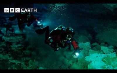 Cave Divers Explore Cenotes of the Yucatán | Wild Mexico | BBC Earth