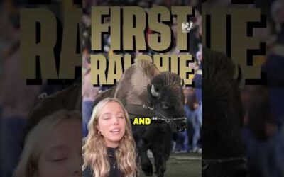 Colorado’s Ralphie The Buffalo Is Actually A Girl 🐃🎀