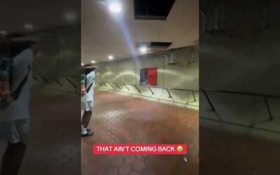 Would you climb up there to get the ball back? 😅