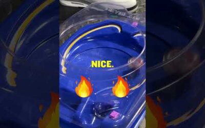 Battle Poses With Rui Hachimura