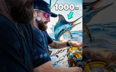 INSANE BATTLE WITH 1000lb FISH!
