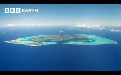 The Hidden Worlds of the South Pacific Islands | BBC Earth