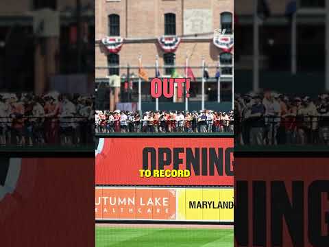 MLB Players Should NEVER Be Able To Rob A Home Run Like This 🤔