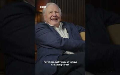 “It was one of the most privileged moments of my life.” – David Attenborough #LifeOnEarth #Shorts
