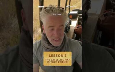 Navigating the Okavango Delta with Gordon Buchanan 🦁 #BigCats247 #Lions #Cheetahs #Leopards #Shorts