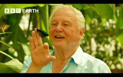 100 Iconic Moments From Sir David Attenborough | BBC Earth