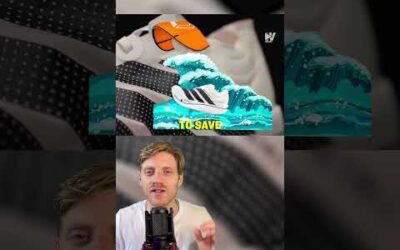 Would You But This $500 Shoe For a World Record Run? 😳