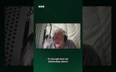 A sneak peek of Sir David Attenborough working on the narration for the upcoming BLUE PLANET III.