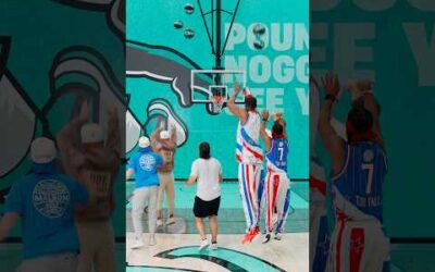 Which Shot Went In?