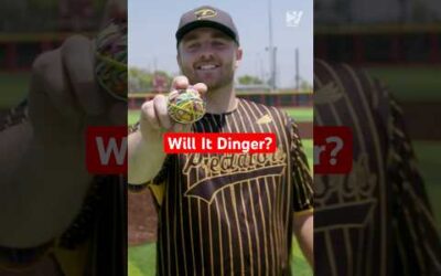 Can You Hit A HR With These Random Items?