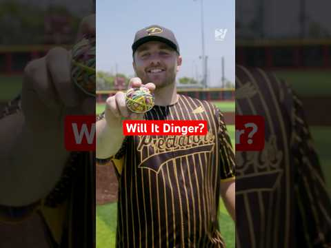 Can You Hit A HR With These Random Items?