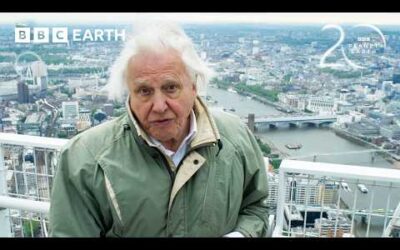 Singapore Engineers A Future For Nature | 20 Years of Planet Earth II | BBC Earth